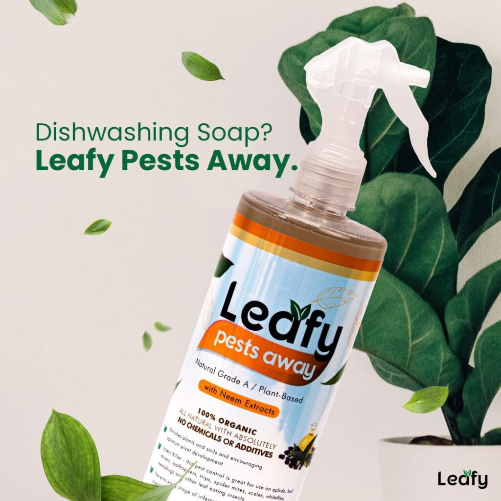 Planting the Seeds of Trust: How Leafy builds customer trust through Locad’s 100% on-time delivery 1 Planting the Seeds of Trust: How Leafy builds customer trust through Locad’s 100% on-time delivery