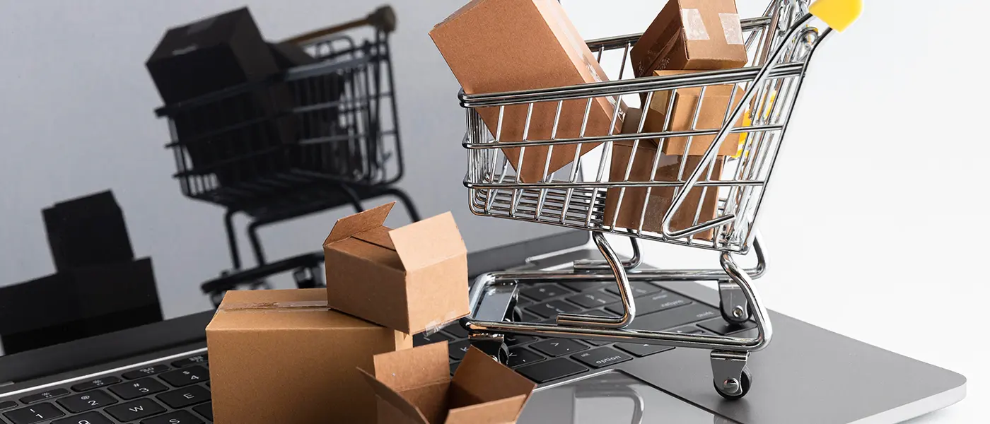 Understanding E-commerce business