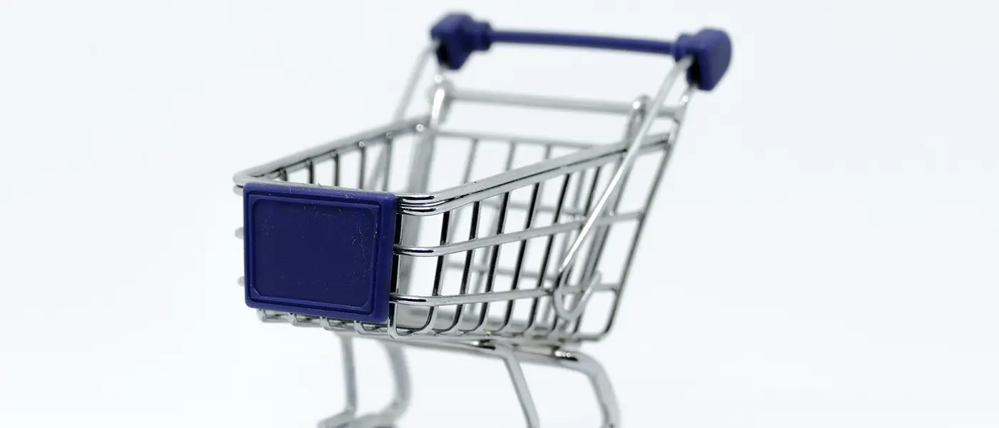 The Best E-Commerce Platforms For Small Businesses In the Philippines