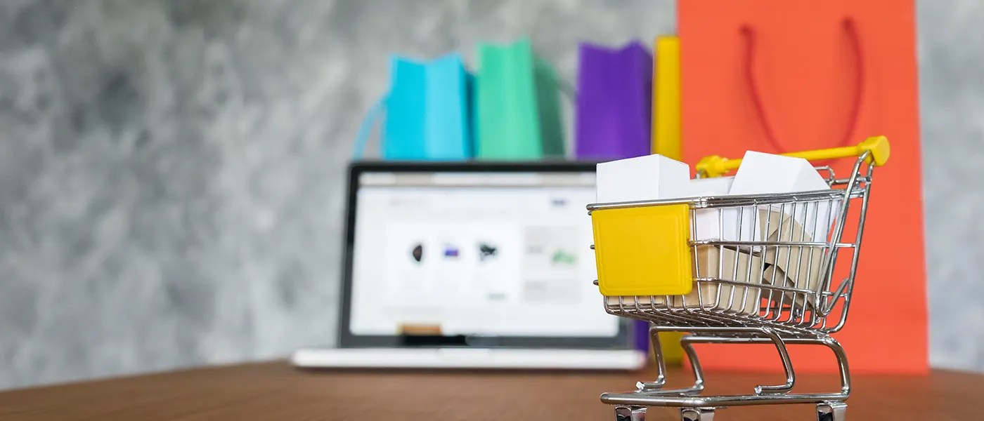 Understanding E-commerce Pricing