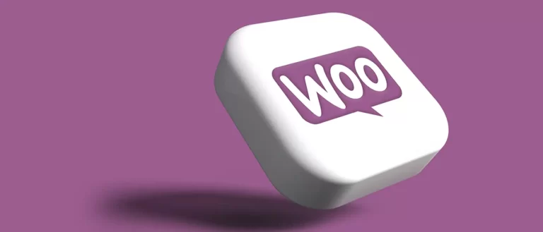 cara mengintegrasikan TikTok dan Woocommerce