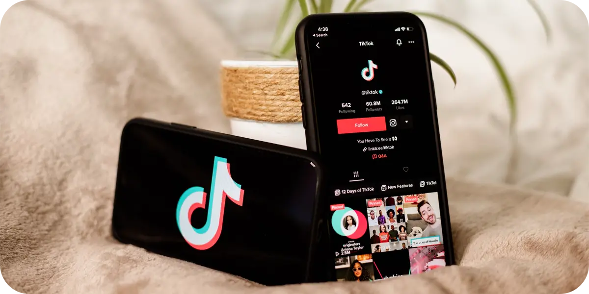 How to Analyze Your Ad and Organic Performance on TikTok