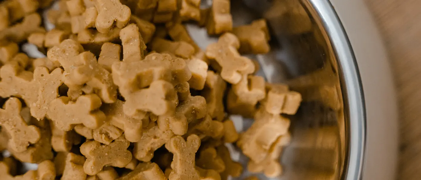 Shipping Logistics: A Comprehensive Guide for E-commerce Businesses