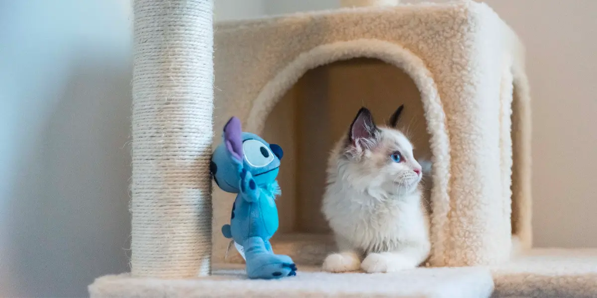 Top 21 in-demand products in the Philippines in 2024 8 Pet food and supplies