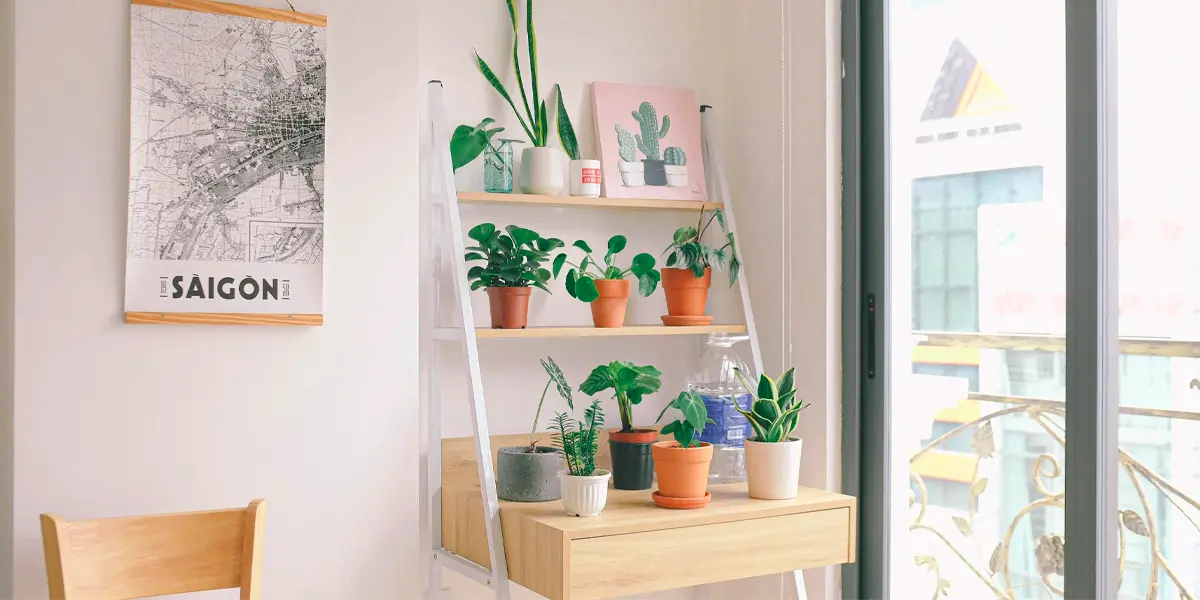 Top 21 in-demand products in the Philippines in 2024 19 Home Storage Containers