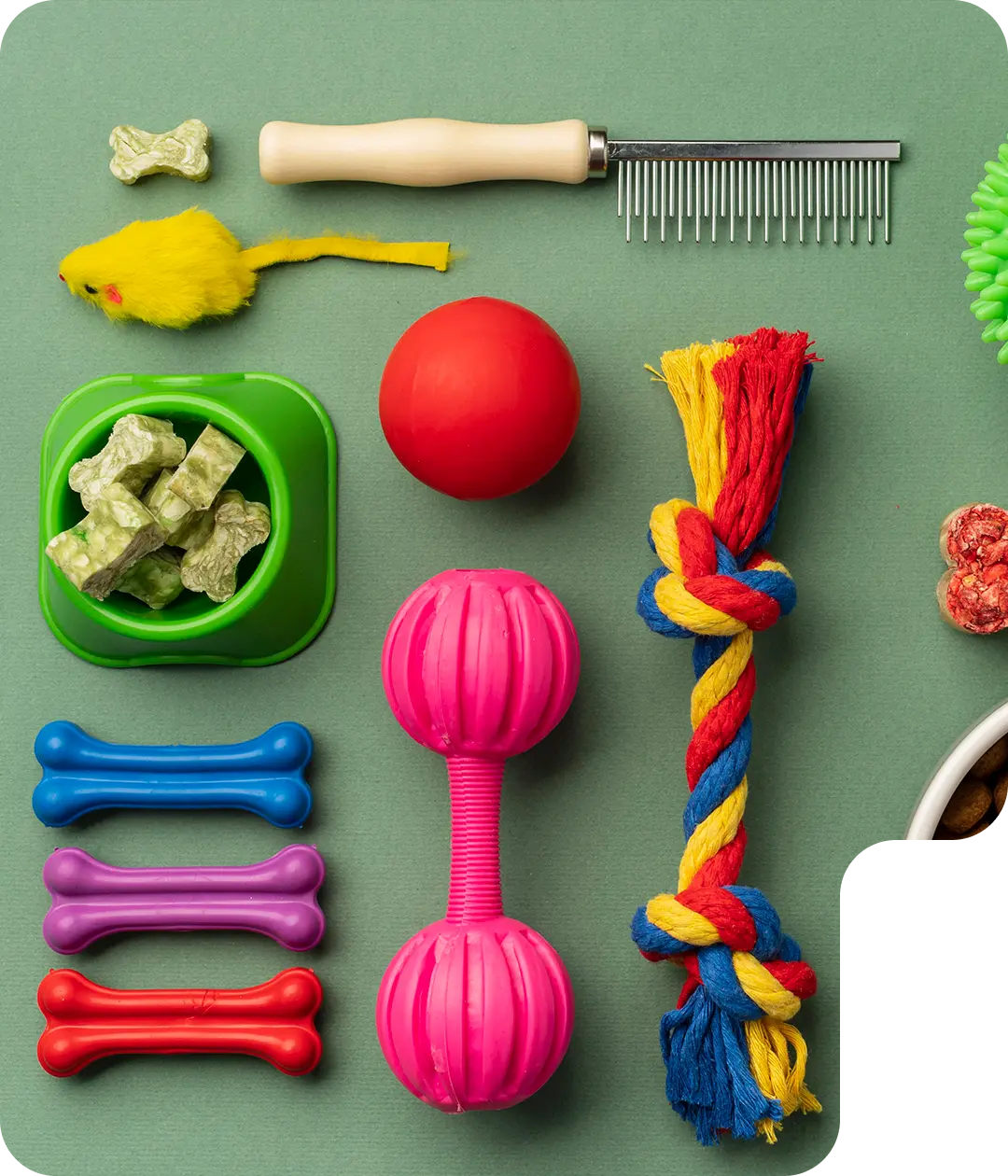 Elevate Your Business with Australia’s Best Pet Supplies Fulfillment Service