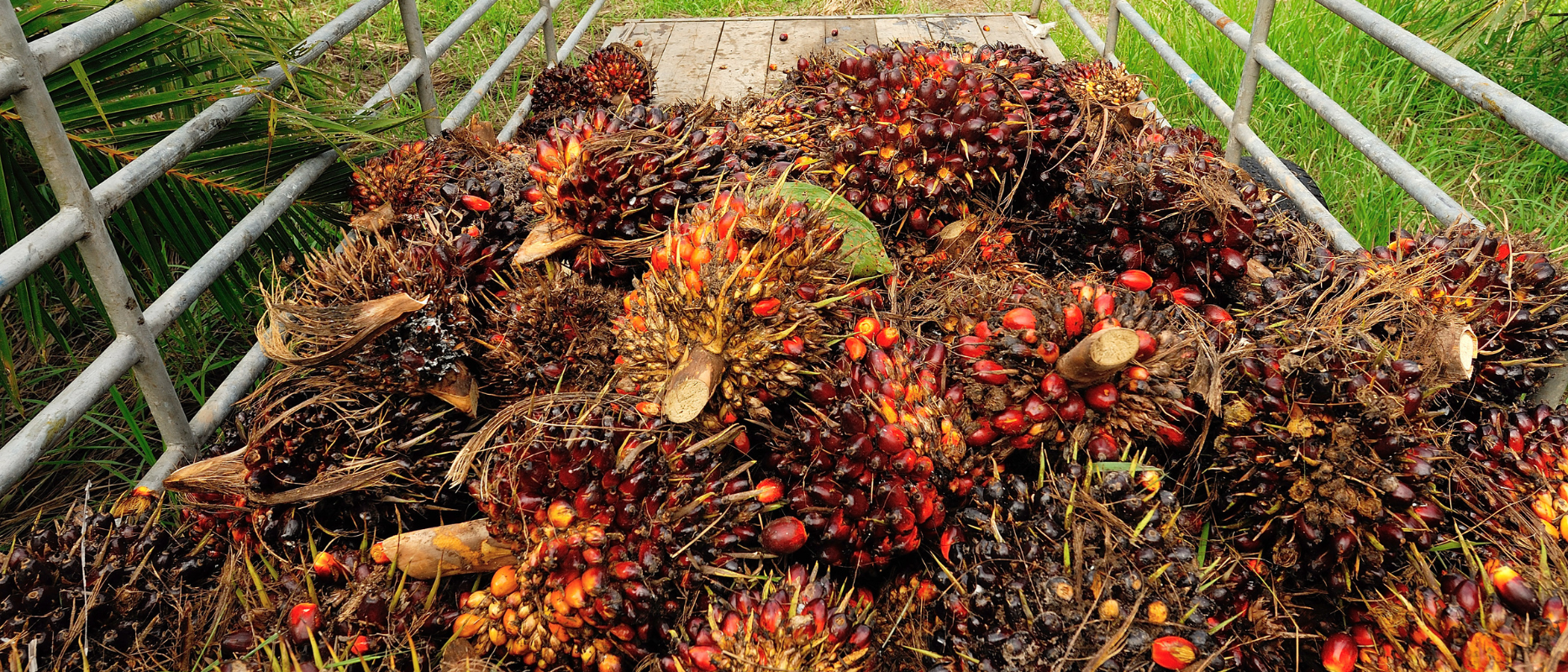 Barang Ekspor Indonesia Ke Filipina Antara Lain Berikut Ini