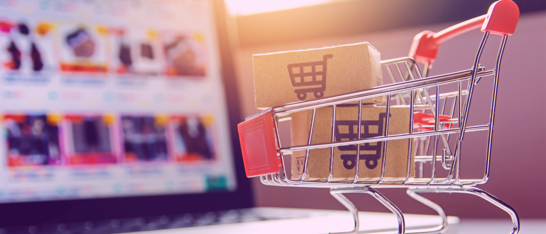 Cara Jualan di E-Commerce dan Pengiriman Yang Cocok?