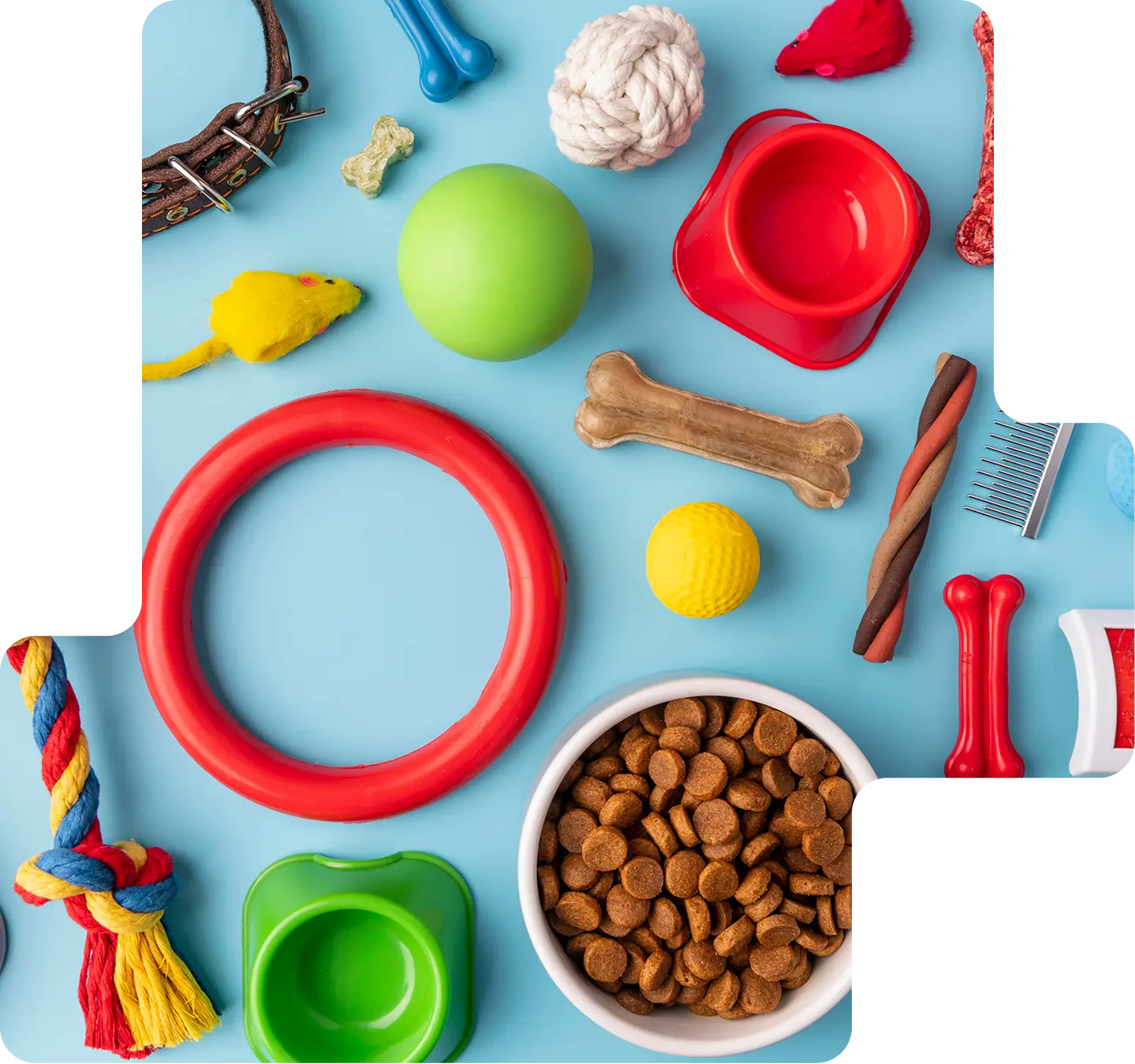 Pet Supply Fulfillment Service