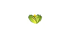 TAE - The Ayurveda Experience