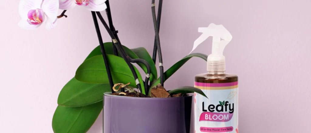 Planting the Seeds of Trust: How Leafy builds customer trust through Locad's 100% on-time delivery