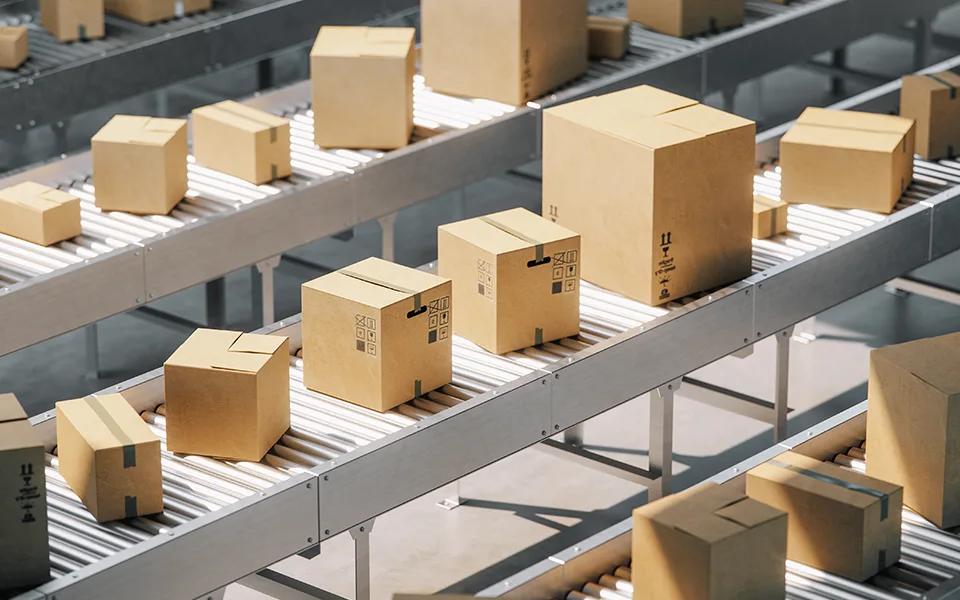 E-commerce Warehouse Packaging & Order Lineup | Locad Blog