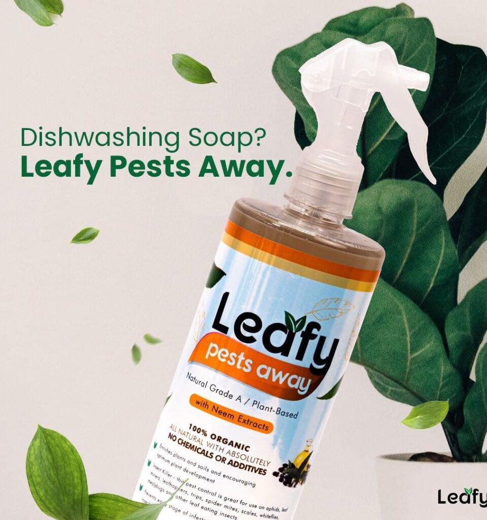 Planting the Seeds of Trust: How Leafy builds customer trust through Locad’s 100% on-time delivery￼