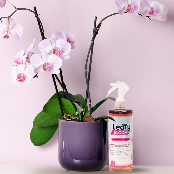 Planting the Seeds of Trust: How Leafy builds customer trust through Locad’s 100% on-time delivery￼