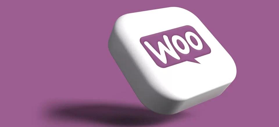 cara mengintegrasikan TikTok dan Woocommerce