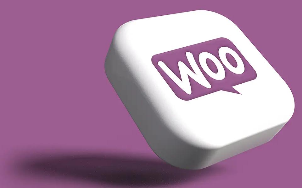 cara mengintegrasikan TikTok dan Woocommerce