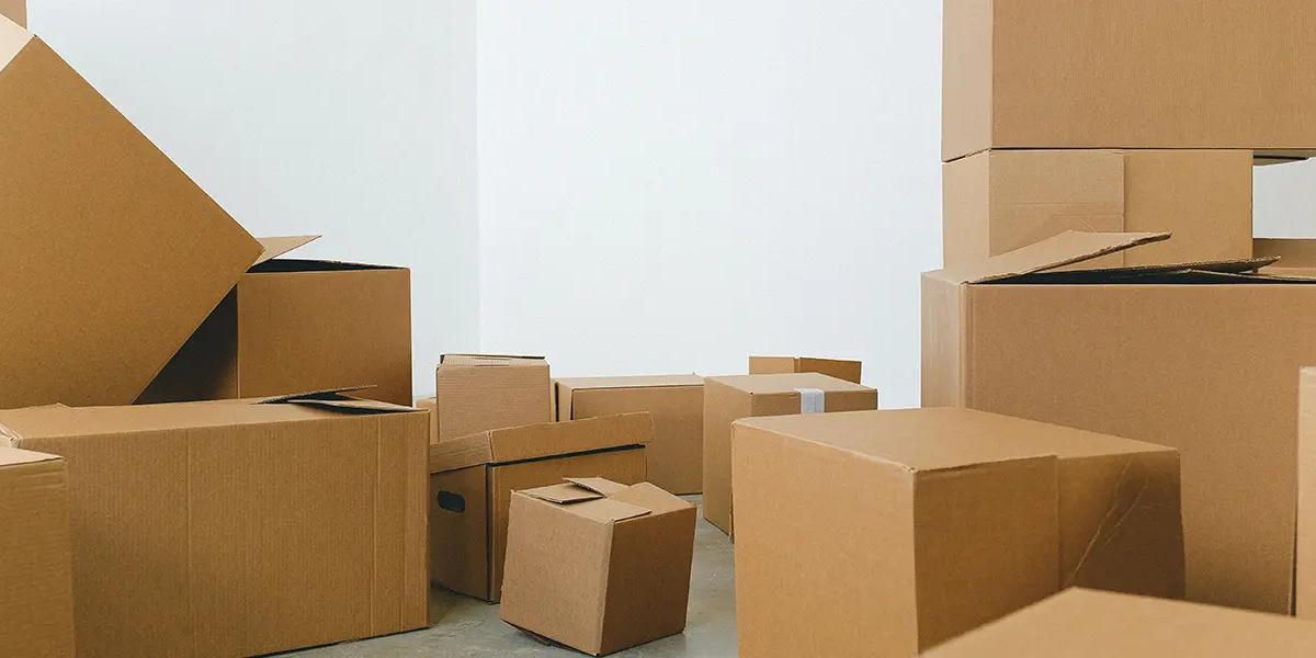 Cardboard Box in E-commerce