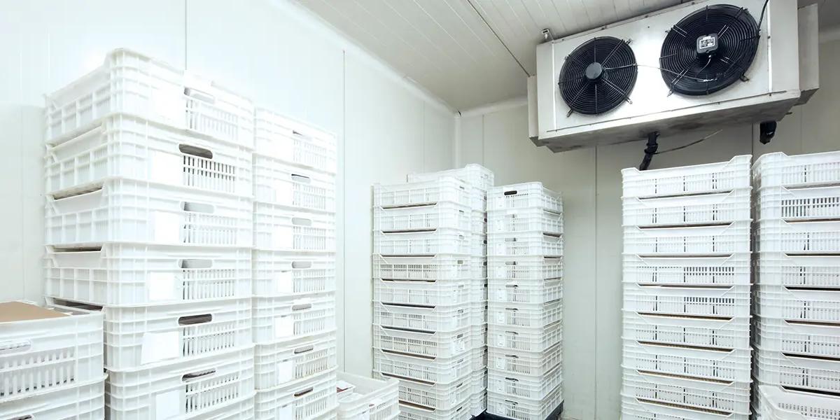 Understand Temperature-controlled Storage
