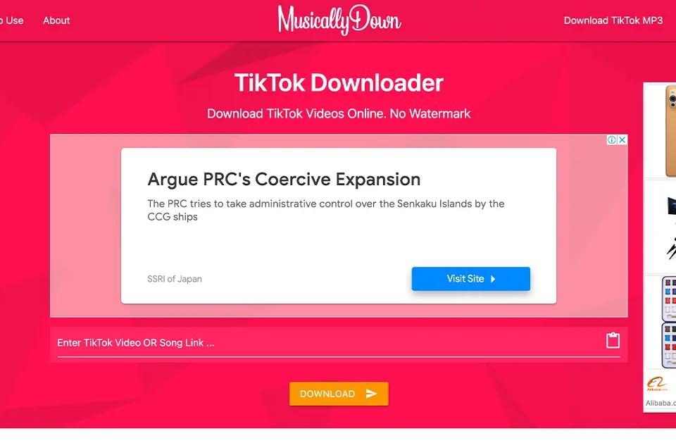 How to Remove TikTok Watermark and Use it for Your E-commerce Marketing?
