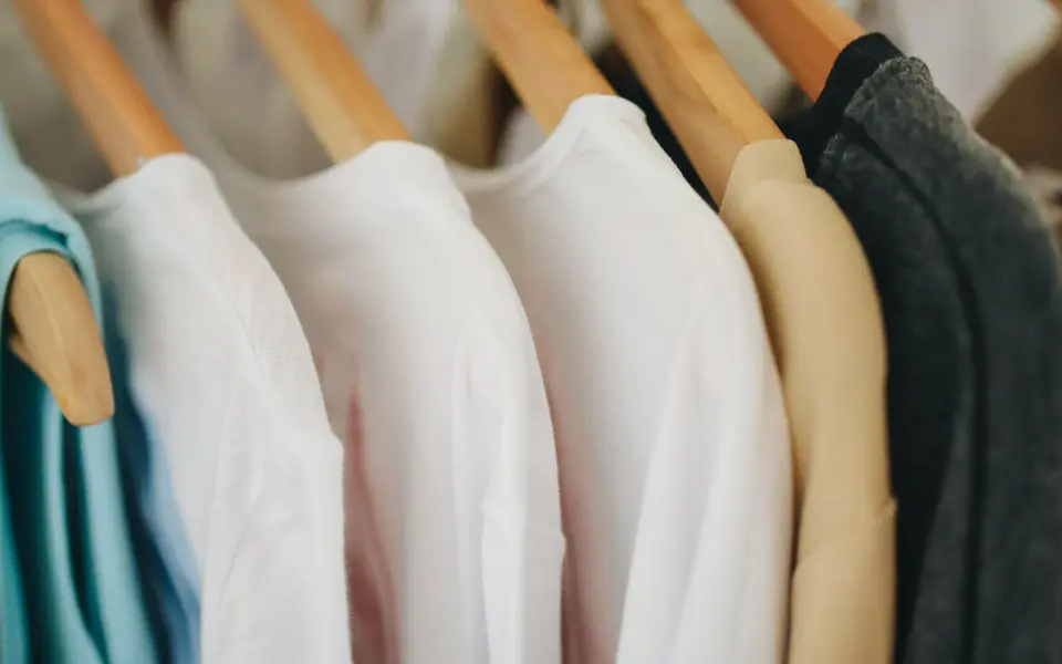 Clothing and fashion accessories