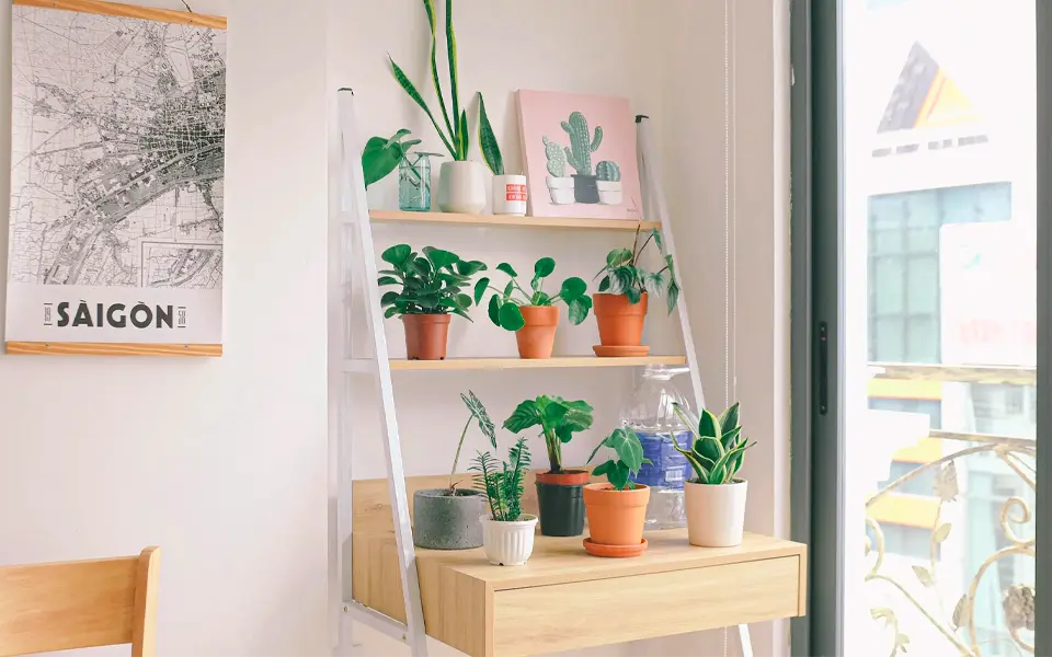 Home Storage Containers