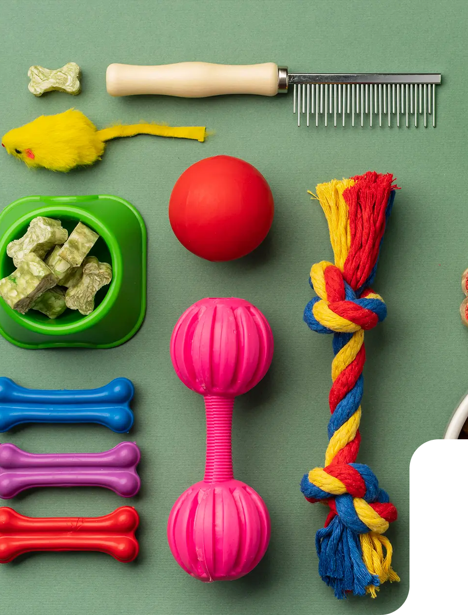 Elevate Your Business with Australia’s Best Pet Supplies Fulfillment Service 1 Elevate Your Business with Australia’s Best Pet Supplies Fulfillment Service