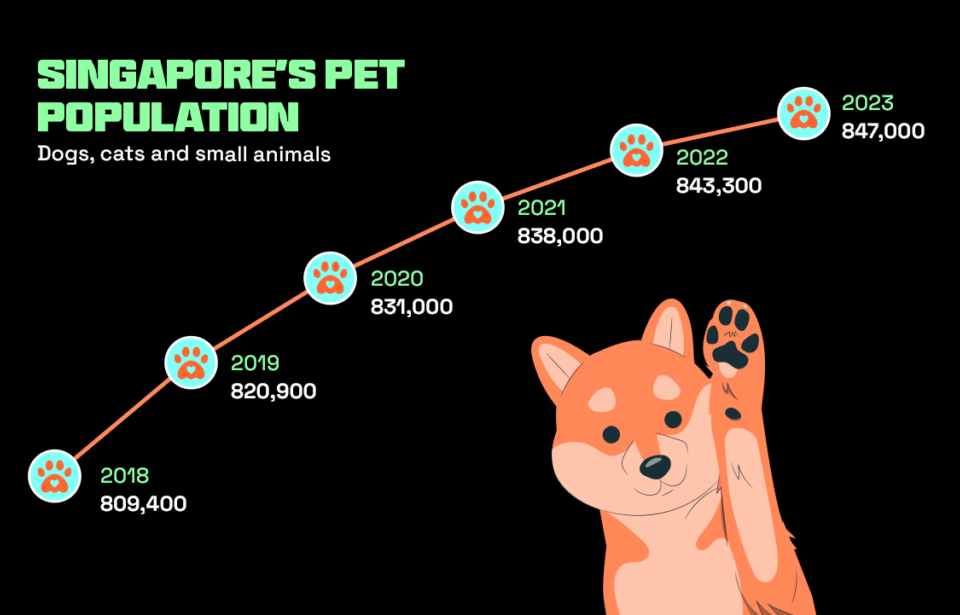 Growth of Singapore's pet population (2018-2023) and the importance of the pet market