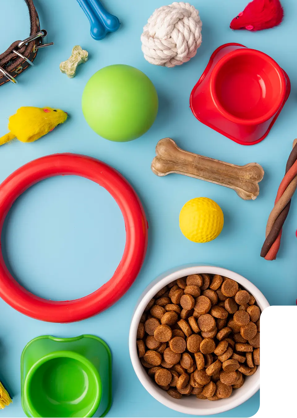 Pet Supply Fulfillment Service