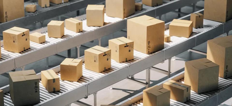 E-commerce Warehouse Packaging & Order Lineup | Locad Blog