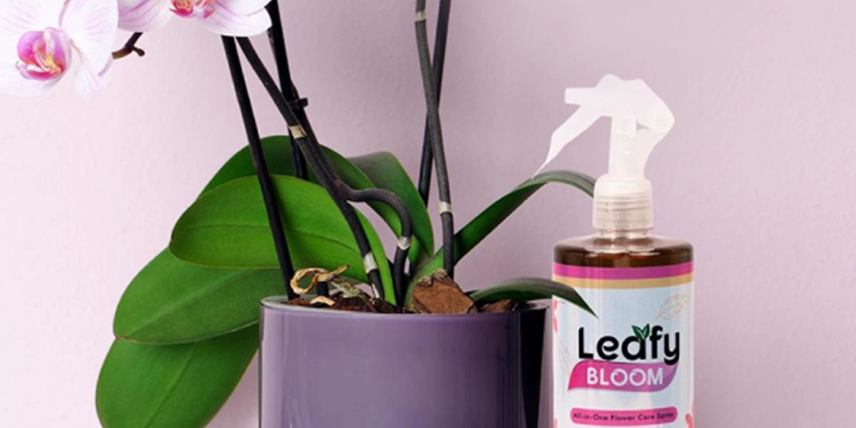 Planting the Seeds of Trust: How Leafy builds customer trust through Locad’s 100% on-time delivery